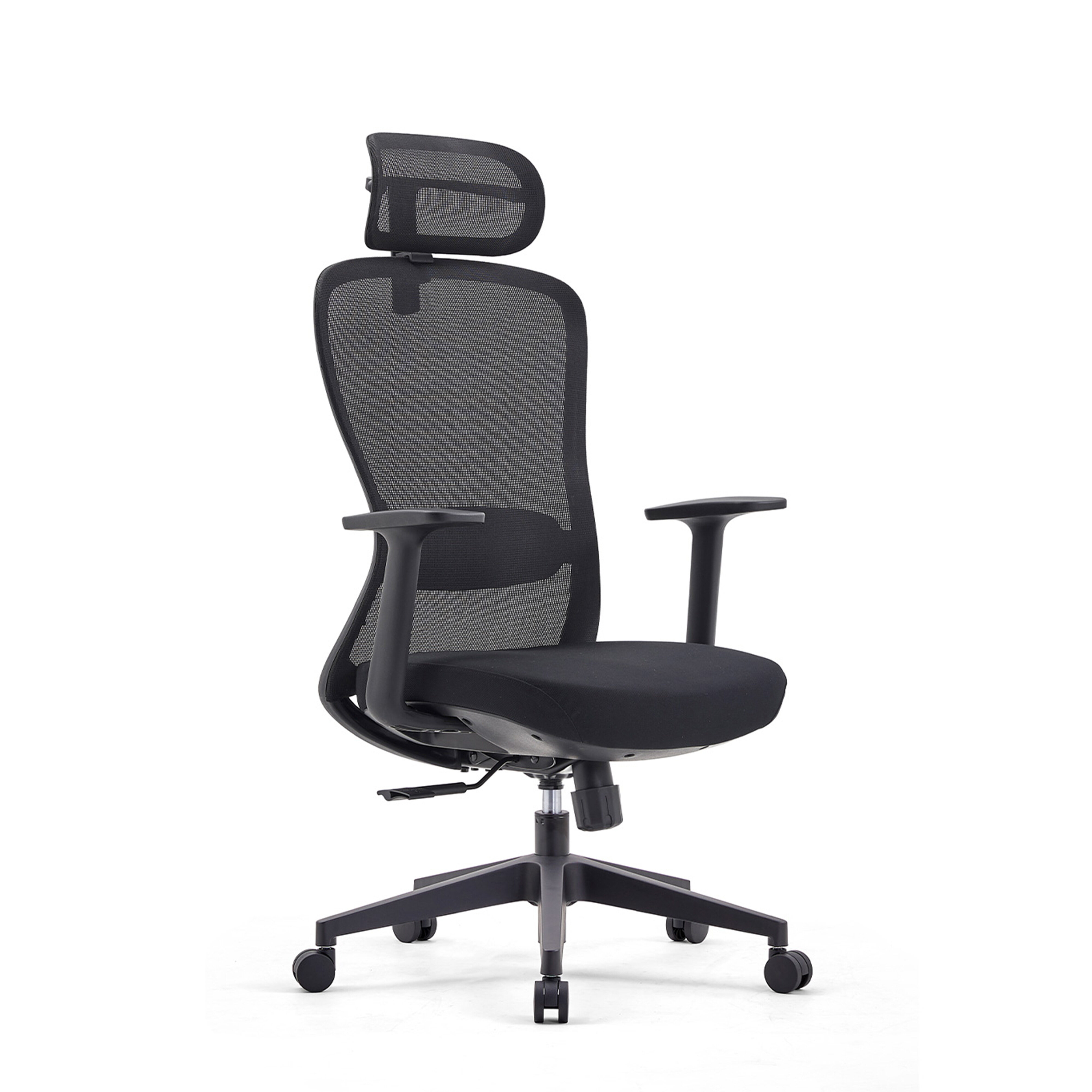 Advanced Ergo Office Chair