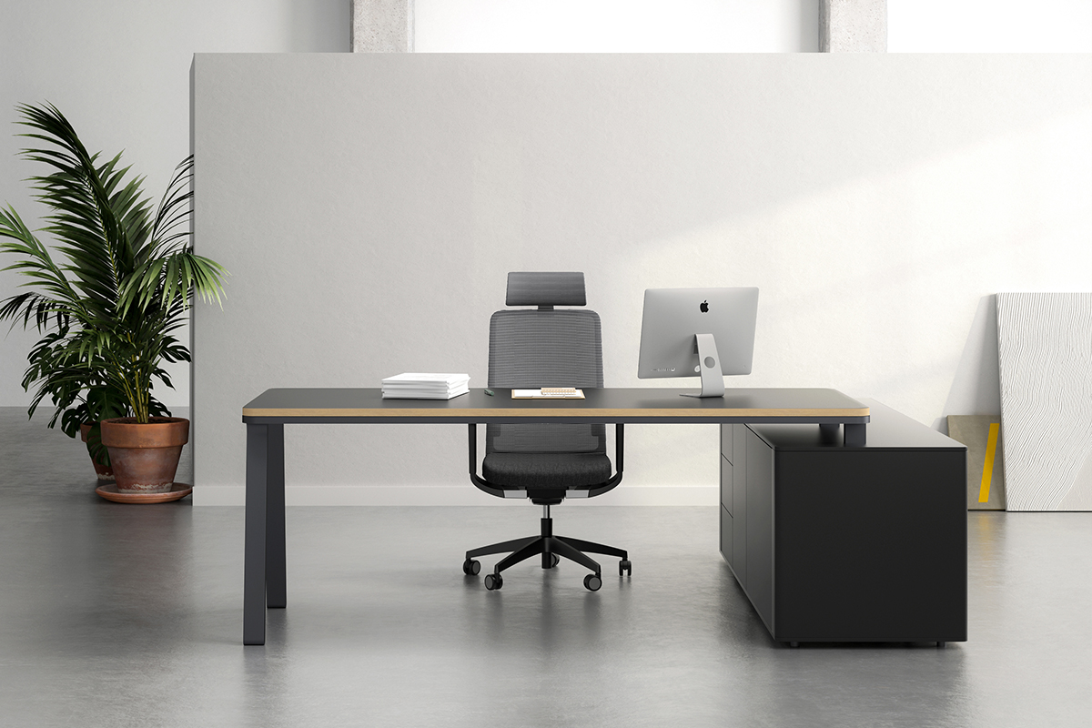 Executive Desk vs Manager Desk: What’s the Difference?