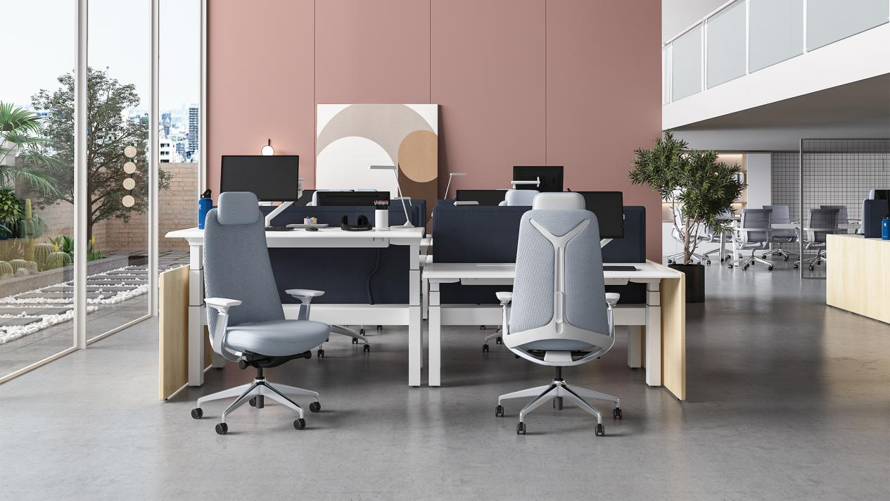 Ergonomic Office Chairs: Comfort, Posture and Productivity