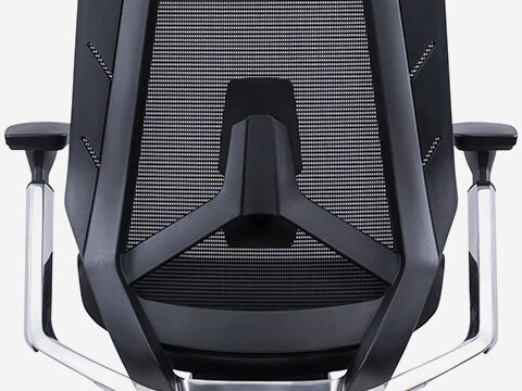 Lumbar support