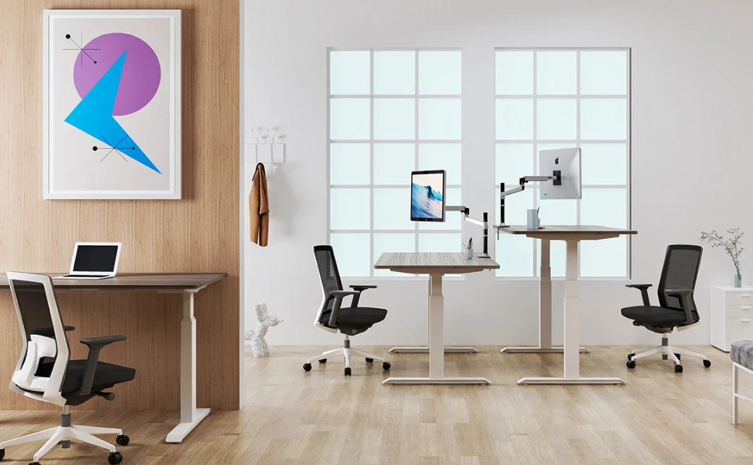 sit-stand desks